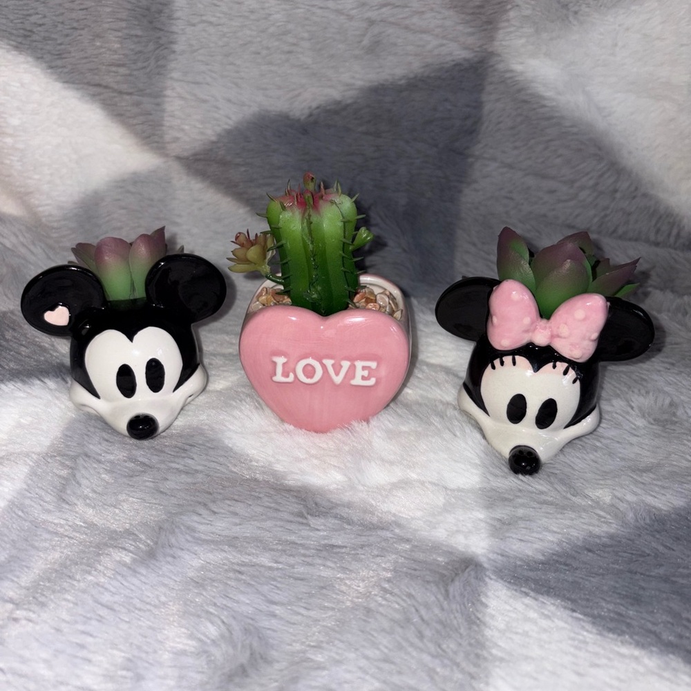 Mickey and Minnie Mouse Decoration Set
